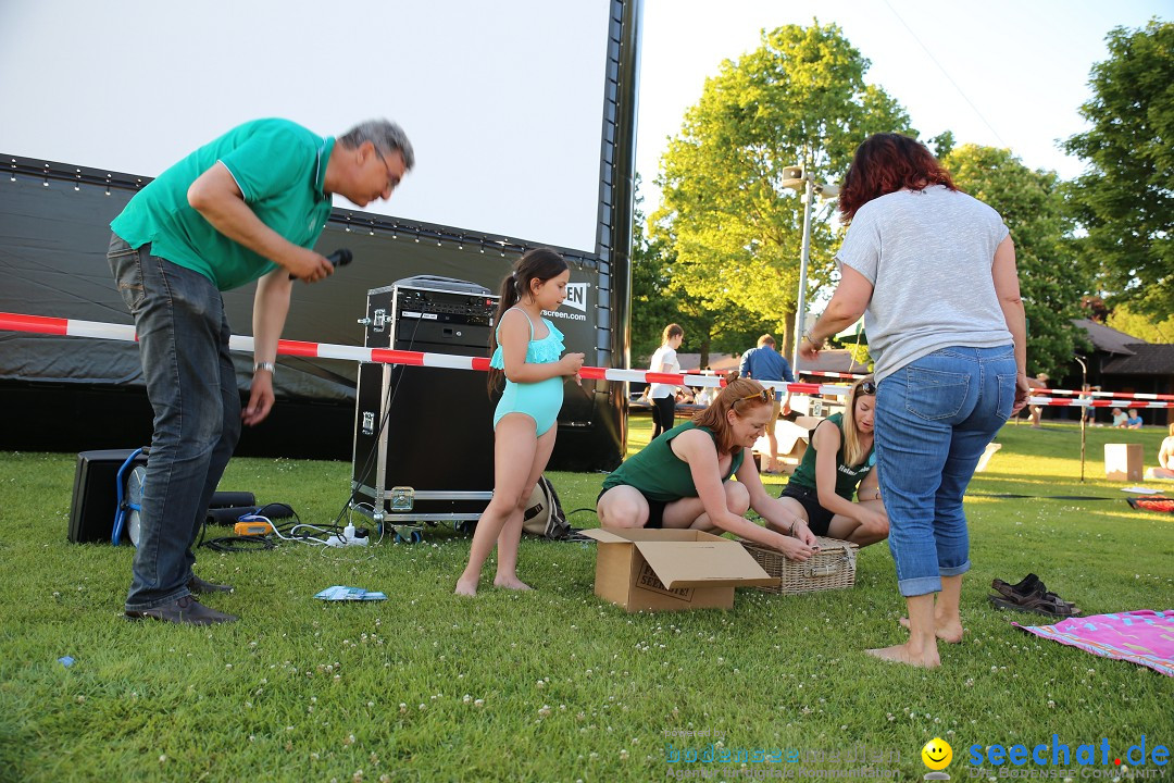 Picknick am Bodensee - Strandbad Friedrichshafen: SUP und Kino, 27.05.2017