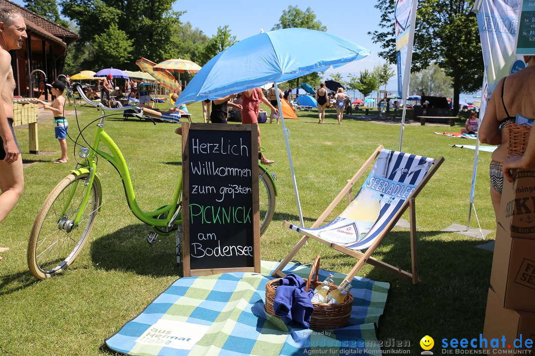 Picknick am Bodensee - Strandbad Friedrichshafen: SUP und Kino, 27.05.2017