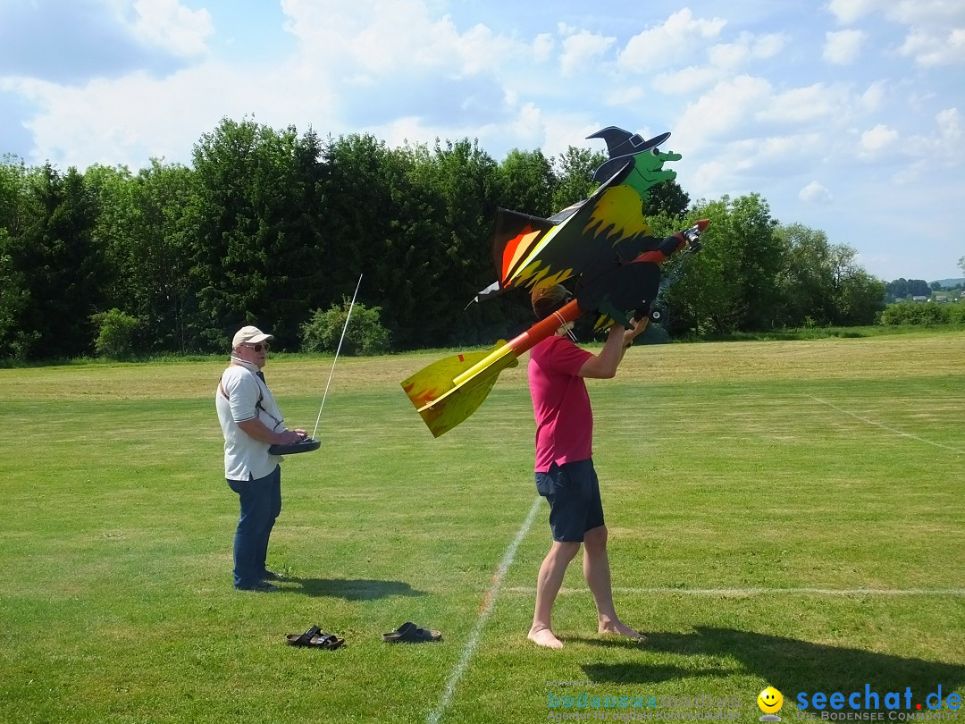 Flugmodellsportgruppe - Flugmodelltag: Ertingen, 28.05.2017