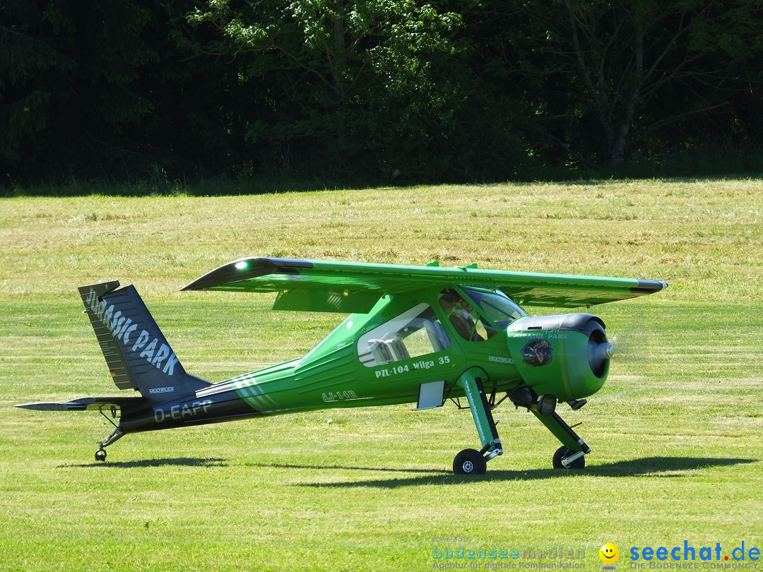 Flugmodellsportgruppe - Flugmodelltag: Ertingen, 28.05.2017