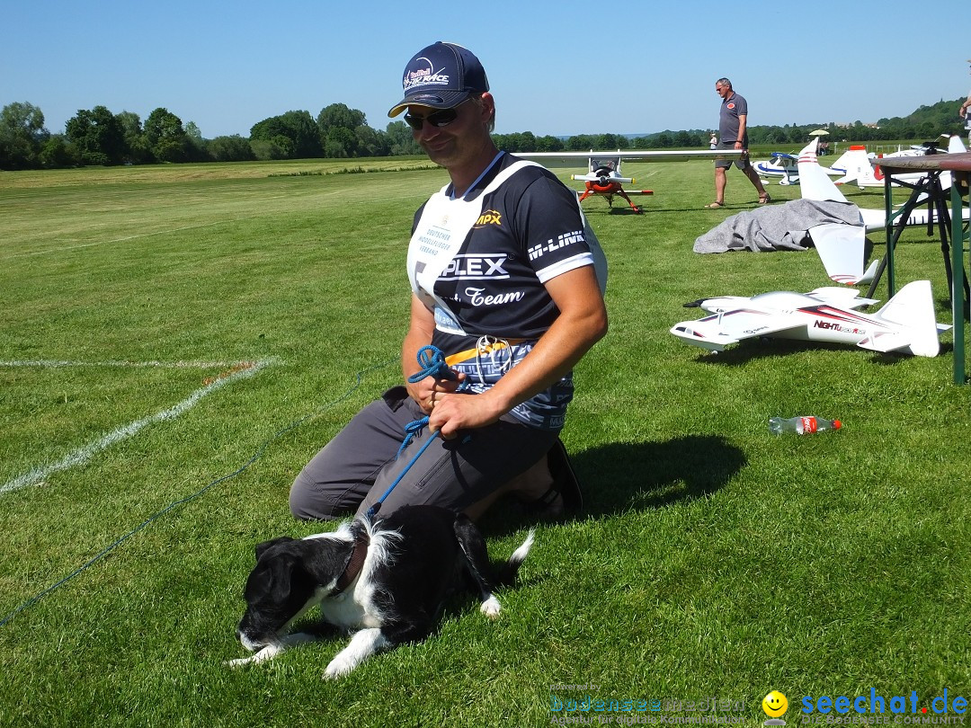 Flugmodellsportgruppe - Flugmodelltag: Ertingen, 28.05.2017