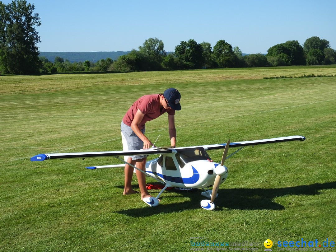 Flugmodellsportgruppe - Flugmodelltag: Ertingen, 28.05.2017