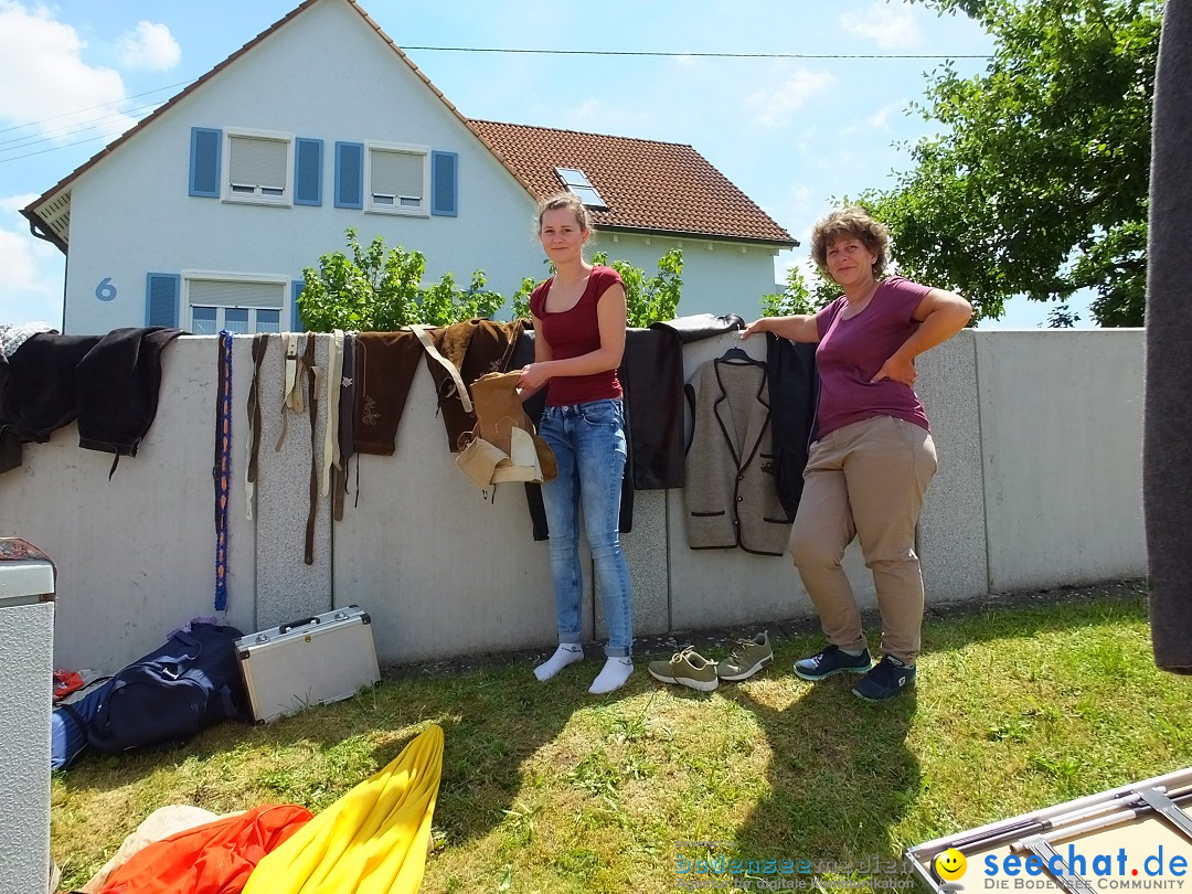 Stadtfest in Hochdorf, 17.06.2017