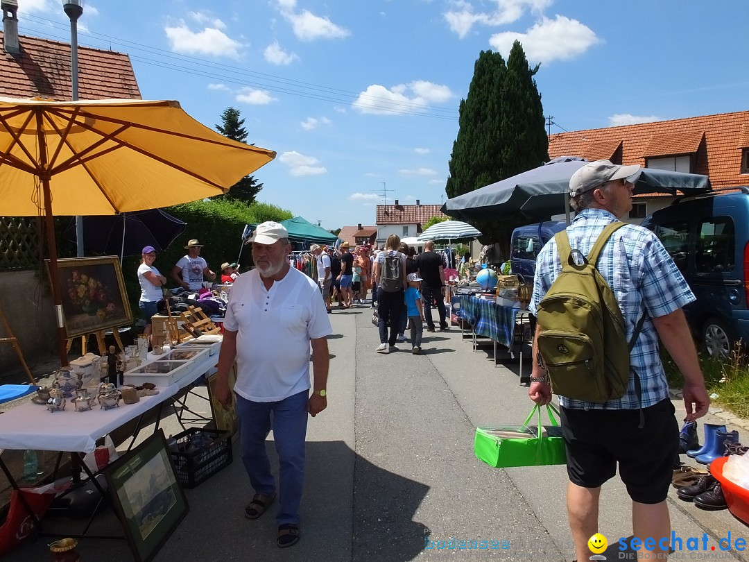 Stadtfest in Hochdorf, 17.06.2017