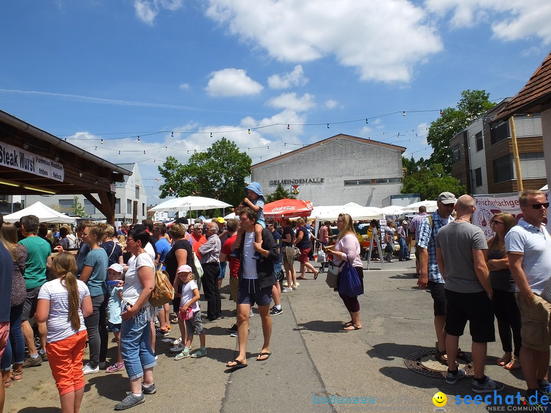 Stadtfest in Hochdorf, 17.06.2017