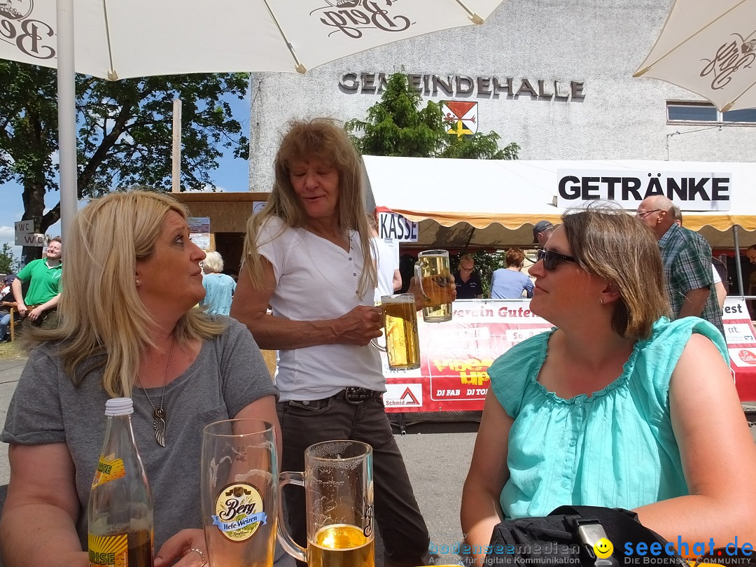 Stadtfest in Hochdorf, 17.06.2017