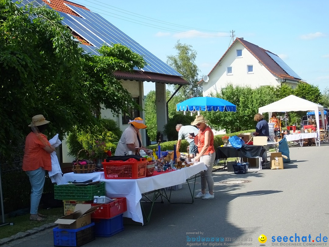 Stadtfest in Hochdorf, 17.06.2017