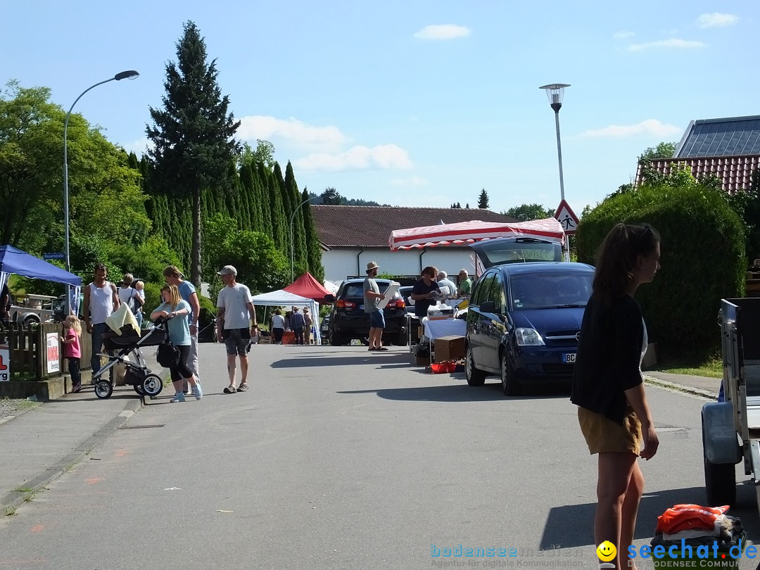 Stadtfest in Hochdorf, 17.06.2017