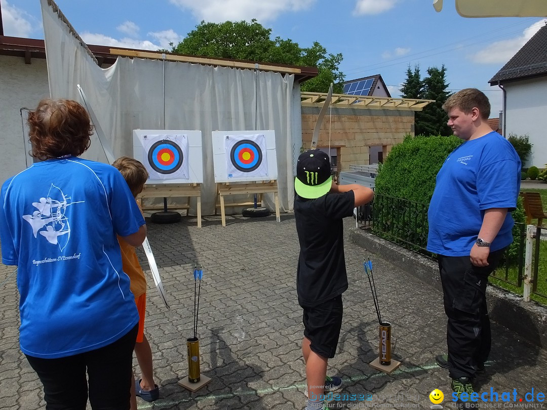 Stadtfest in Hochdorf, 17.06.2017