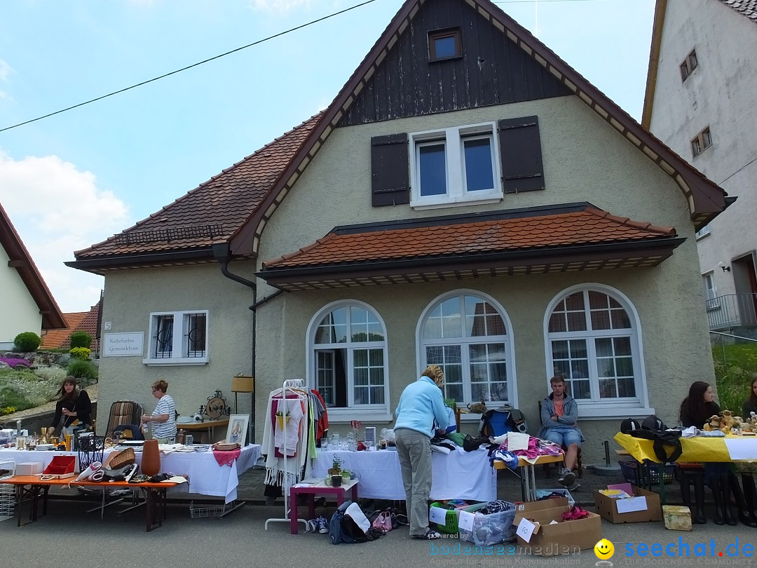 Stadtfest in Hochdorf, 17.06.2017