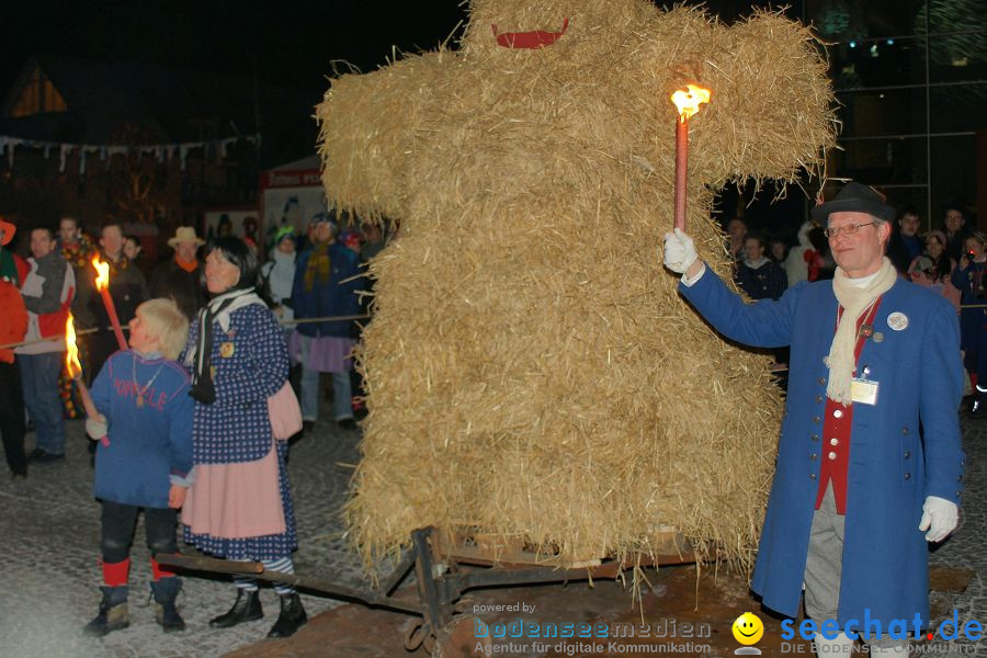 Narrentreffen: Singen, 30.01.2010