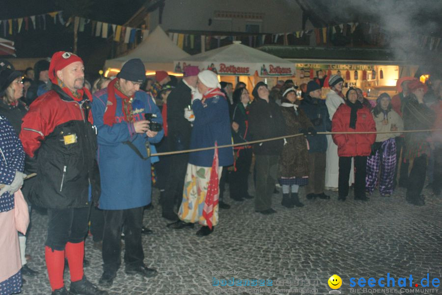 Narrentreffen: Singen, 30.01.2010