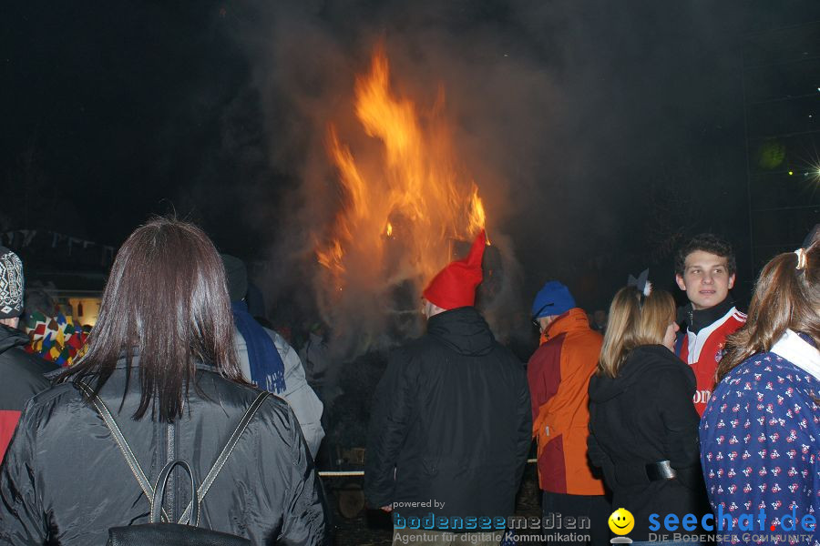 Narrentreffen: Singen, 30.01.2010