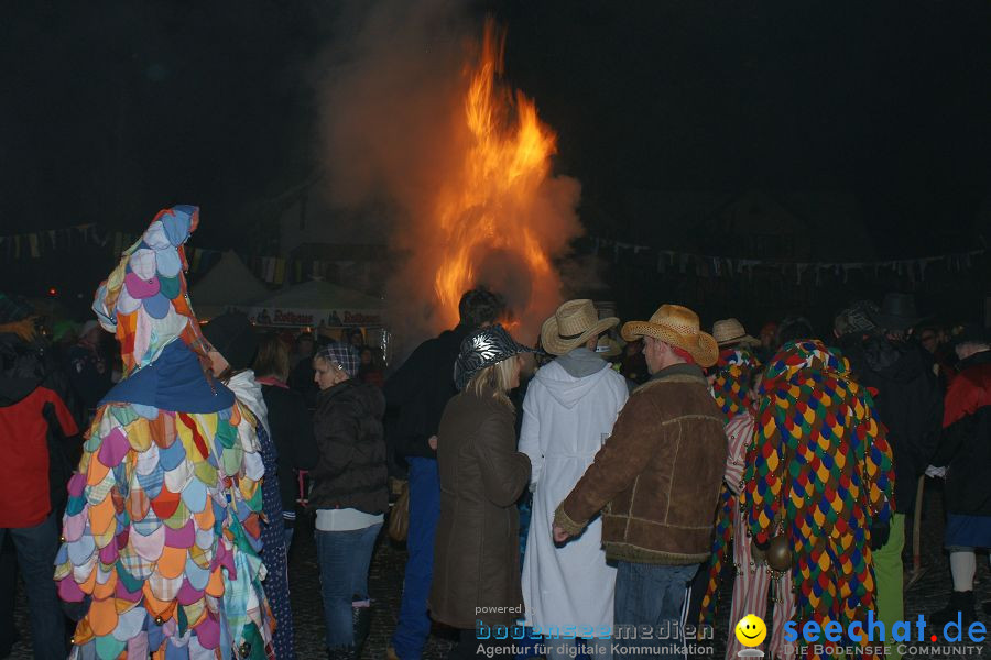 Narrentreffen: Singen, 30.01.2010