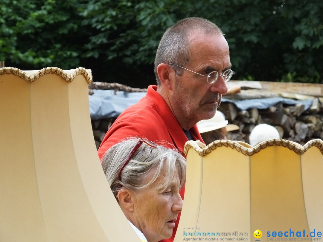 Flohmarkt: Zwiefaltendorf, 24.06.2017