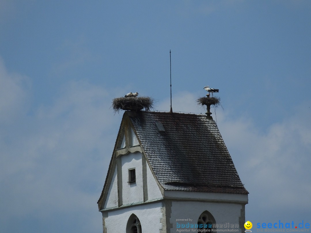 Flohmarkt: Zwiefaltendorf, 24.06.2017