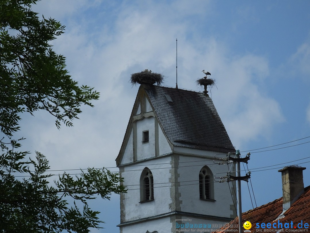 Flohmarkt: Zwiefaltendorf, 24.06.2017