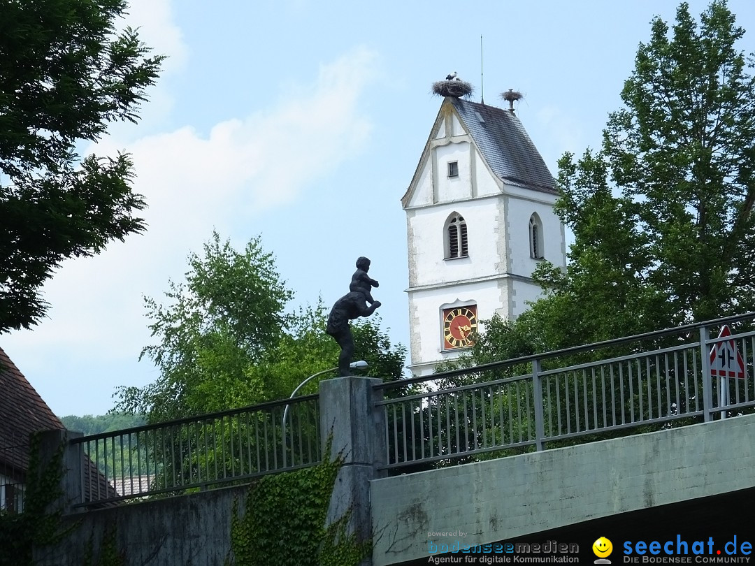 Flohmarkt: Zwiefaltendorf, 24.06.2017