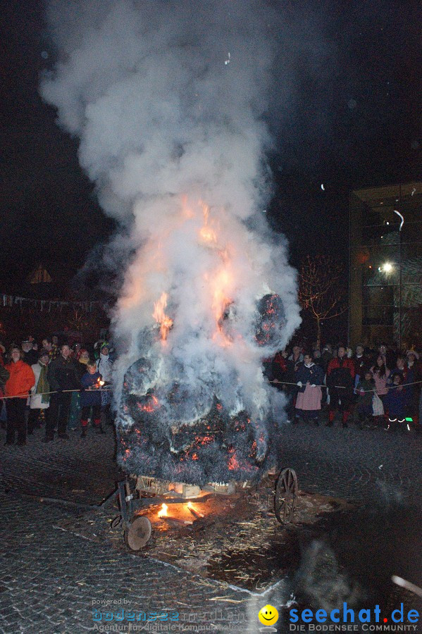 Narrentreffen: Singen, 30.01.2010