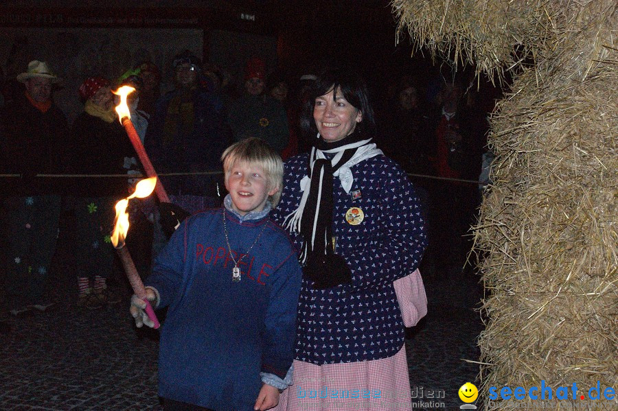 Narrentreffen: Singen, 30.01.2010