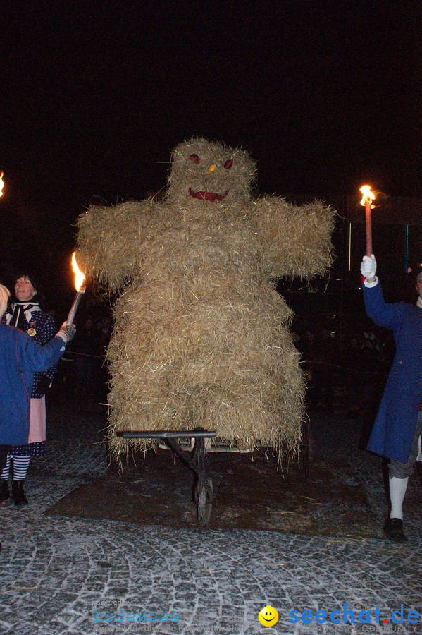 Narrentreffen: Singen, 30.01.2010