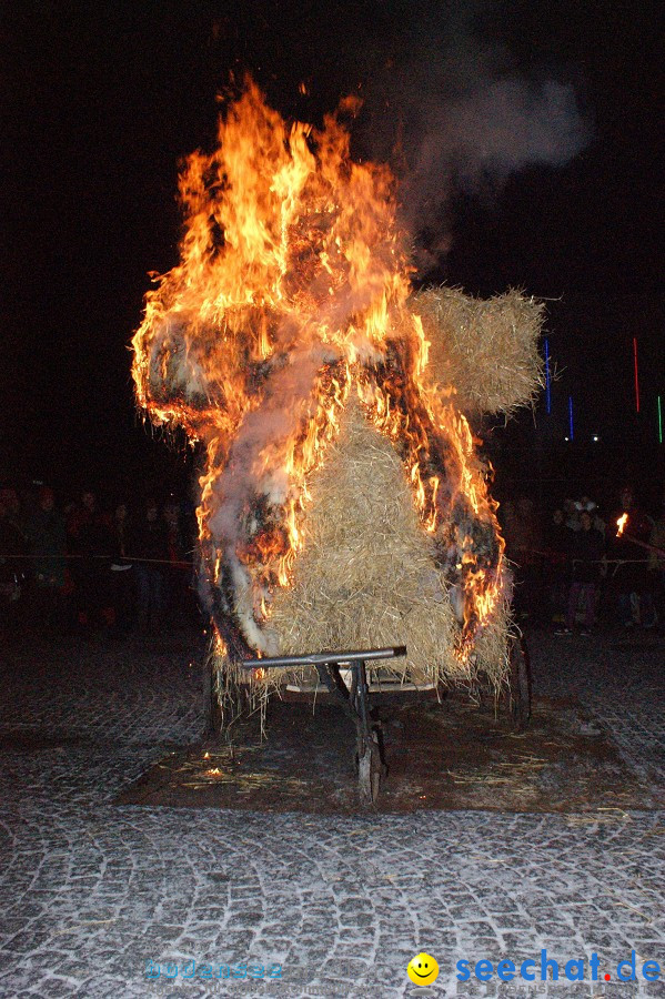 Narrentreffen: Singen, 30.01.2010