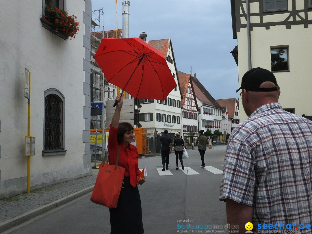 Theatersommer: Riedlingen, 09.07.2017