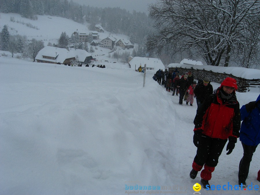 Internationales Schlittenhunderennen: Todtmoos im Schwarzwald, 31.01.2010