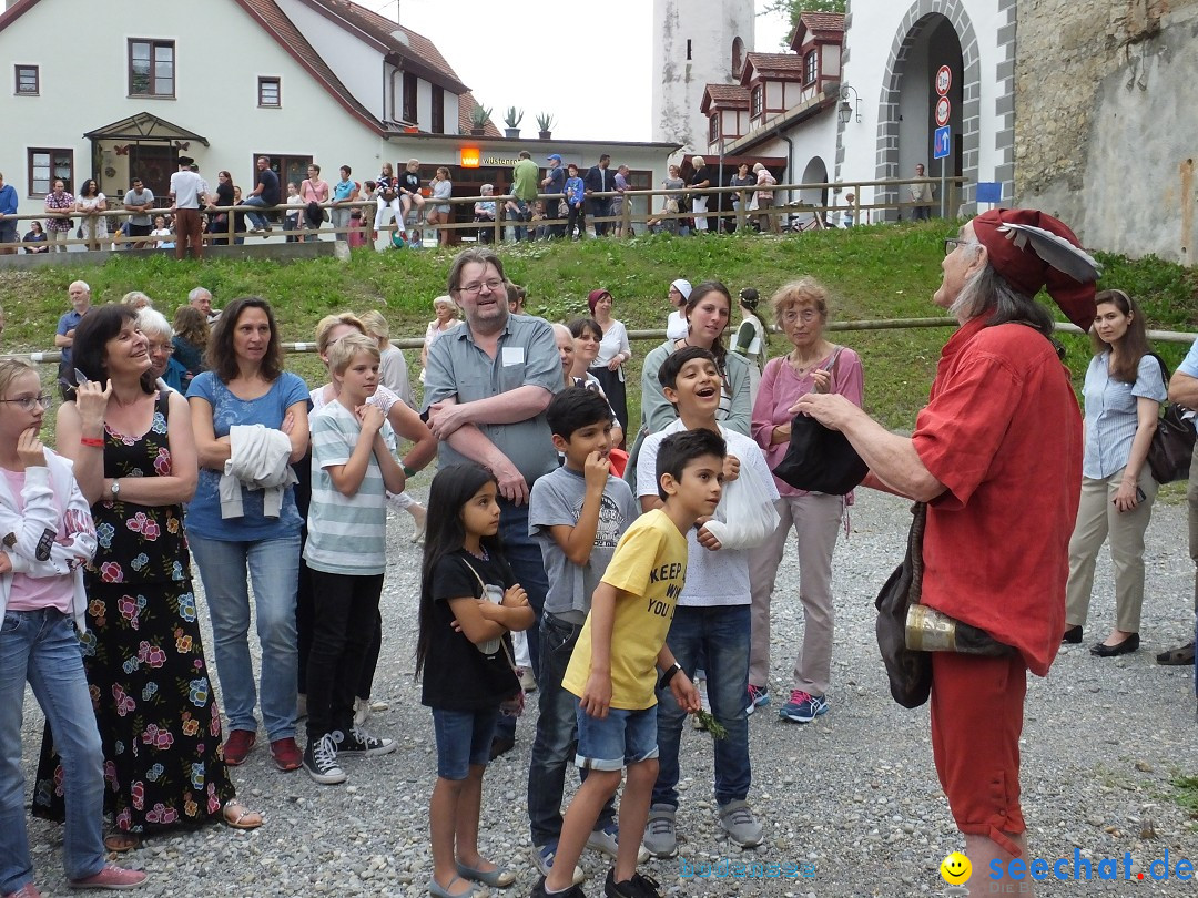 Theatersommer: Riedlingen, 09.07.2017