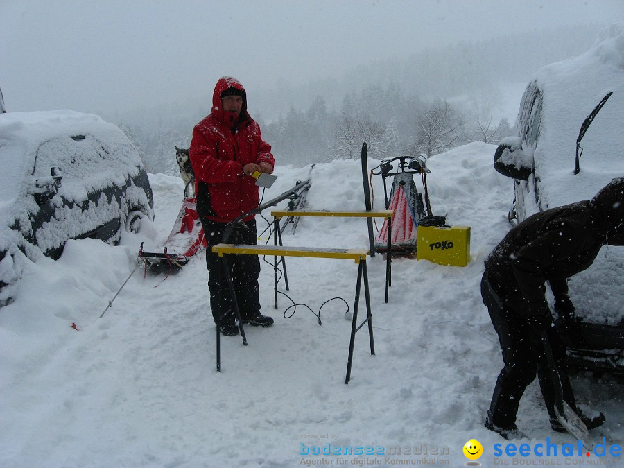 Internationales Schlittenhunderennen: Todtmoos im Schwarzwald, 31.01.2010