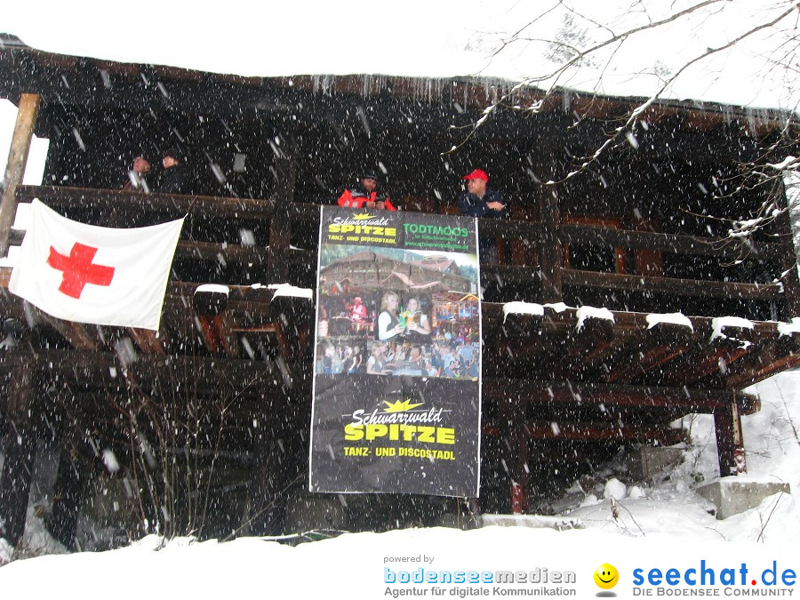 Internationales Schlittenhunderennen: Todtmoos im Schwarzwald, 31.01.2010