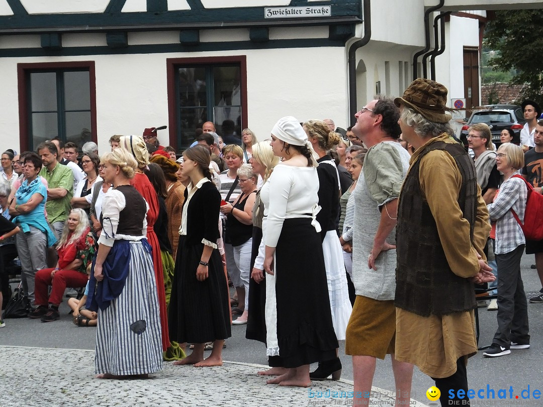 Theatersommer: Riedlingen, 09.07.2017