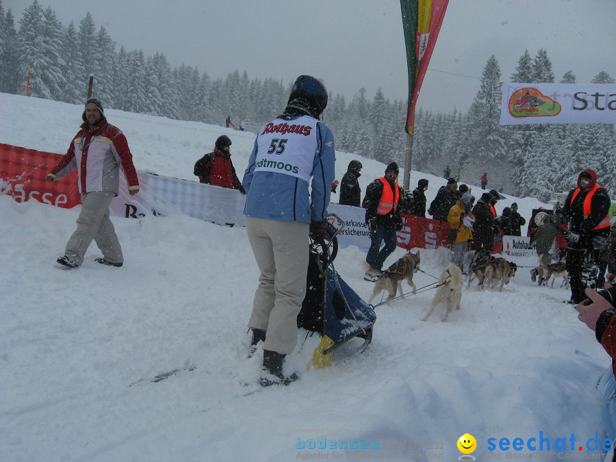 Internationales Schlittenhunderennen: Todtmoos im Schwarzwald, 31.01.2010