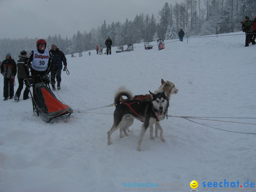 Internationales Schlittenhunderennen: Todtmoos im Schwarzwald, 31.01.2010