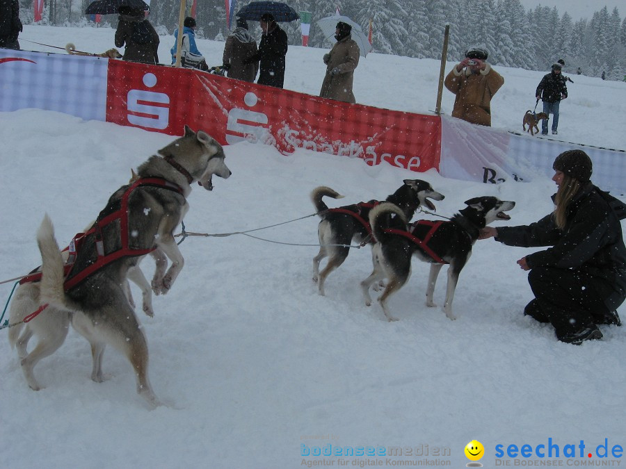 Internationales Schlittenhunderennen: Todtmoos im Schwarzwald, 31.01.2010