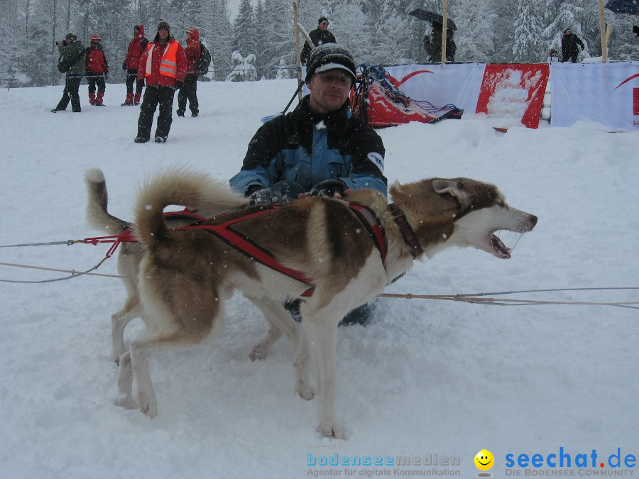 Internationales Schlittenhunderennen: Todtmoos im Schwarzwald, 31.01.2010