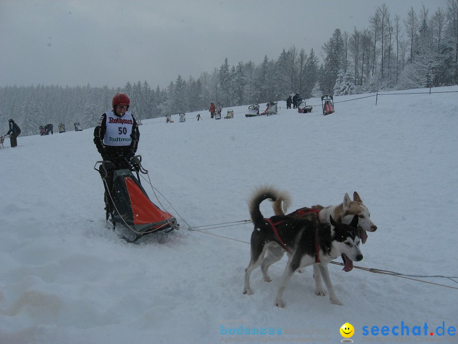 Internationales Schlittenhunderennen: Todtmoos im Schwarzwald, 31.01.2010