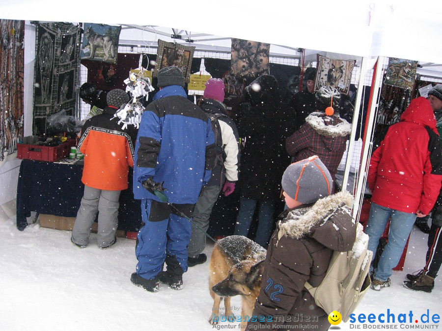 Internationales Schlittenhunderennen: Todtmoos im Schwarzwald, 31.01.2010