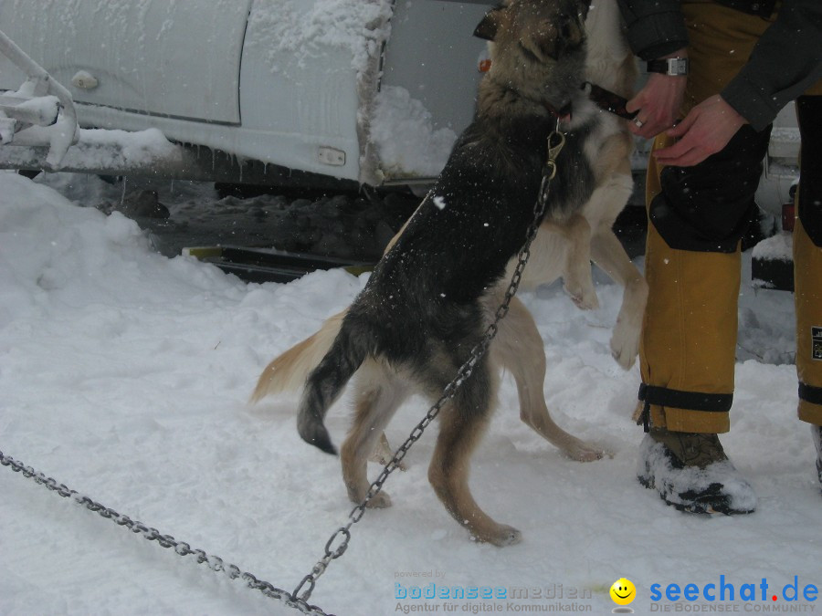 Internationales Schlittenhunderennen: Todtmoos im Schwarzwald, 31.01.2010