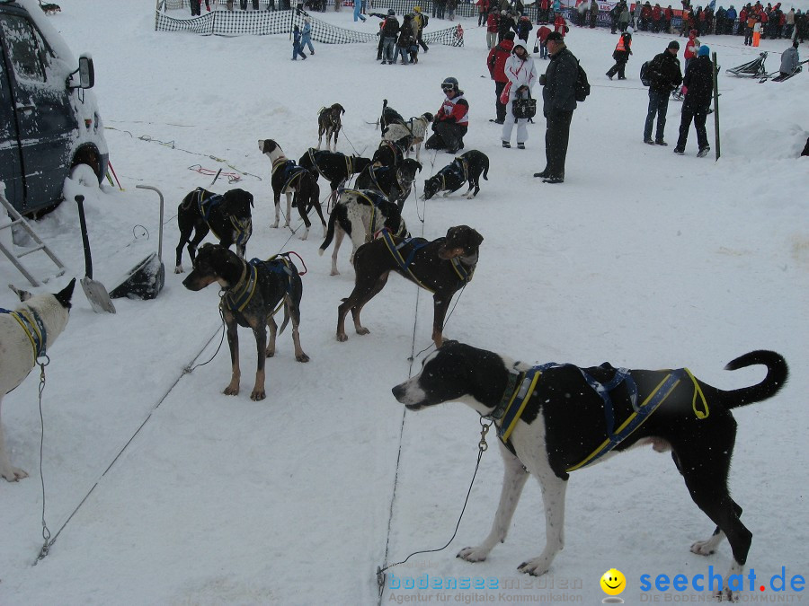 Internationales Schlittenhunderennen: Todtmoos im Schwarzwald, 31.01.2010