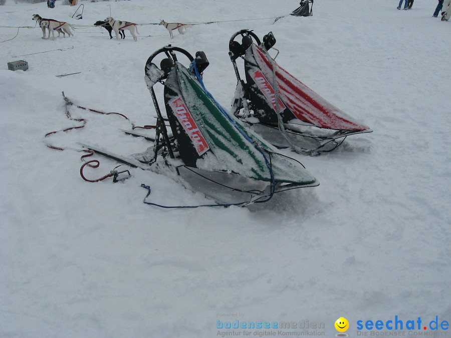 Internationales Schlittenhunderennen: Todtmoos im Schwarzwald, 31.01.2010