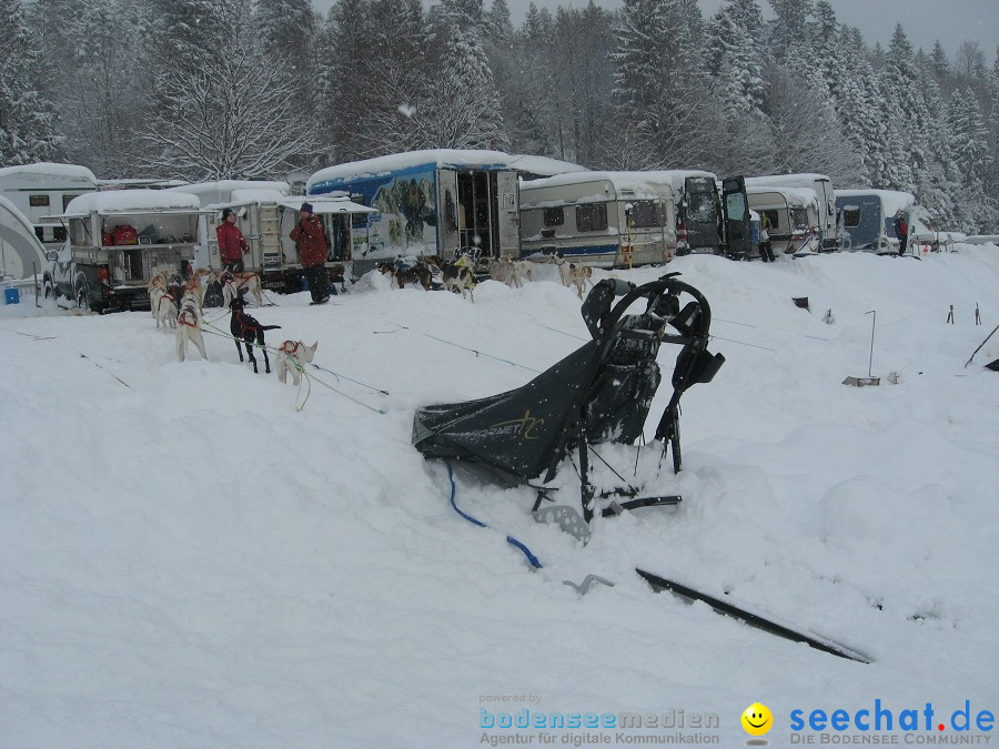 Internationales Schlittenhunderennen: Todtmoos im Schwarzwald, 31.01.2010