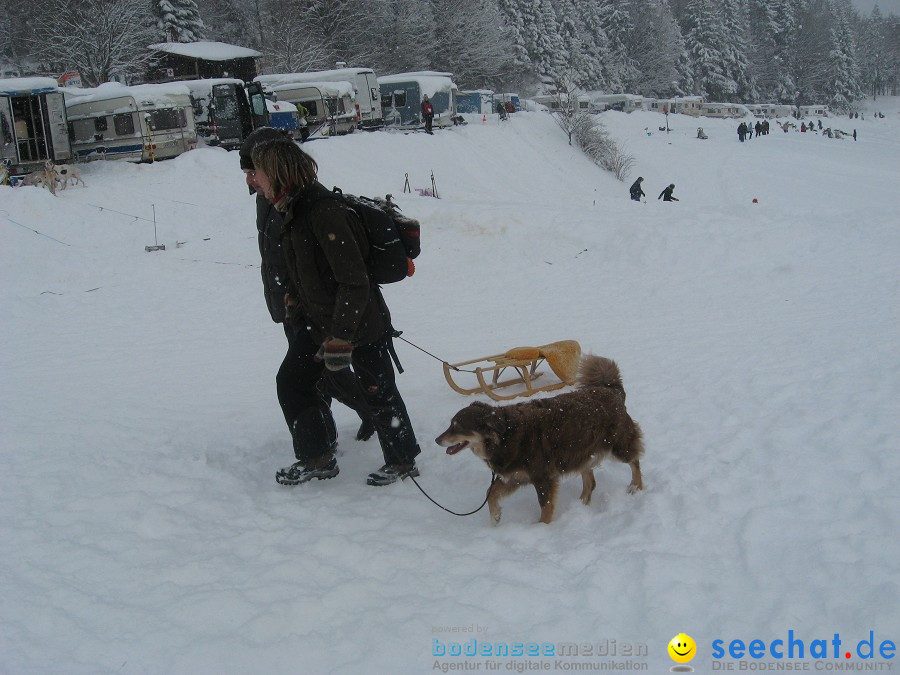 Internationales Schlittenhunderennen: Todtmoos im Schwarzwald, 31.01.2010