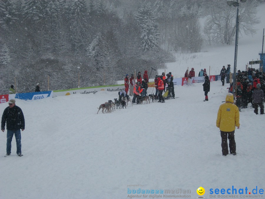 Internationales Schlittenhunderennen: Todtmoos im Schwarzwald, 31.01.2010