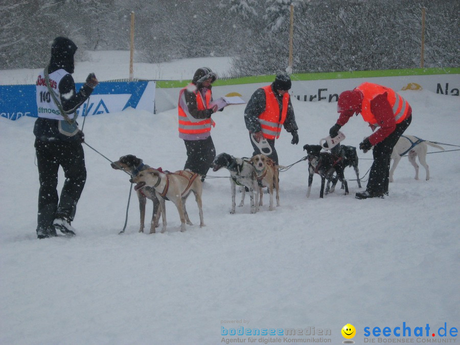 Internationales Schlittenhunderennen: Todtmoos im Schwarzwald, 31.01.2010