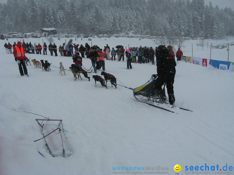 Internationales Schlittenhunderennen: Todtmoos im Schwarzwald, 31.01.2010