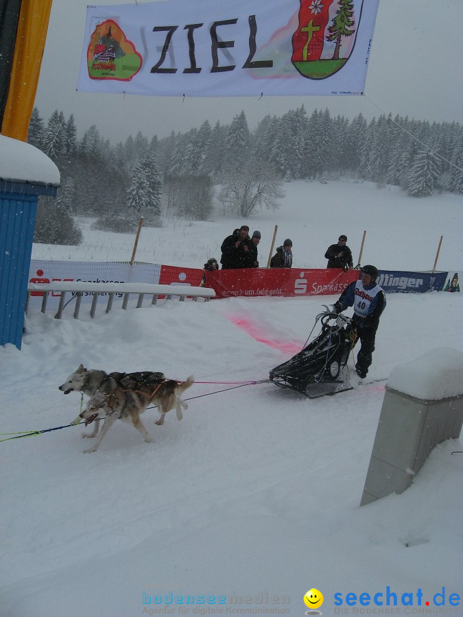 Internationales Schlittenhunderennen: Todtmoos im Schwarzwald, 31.01.2010