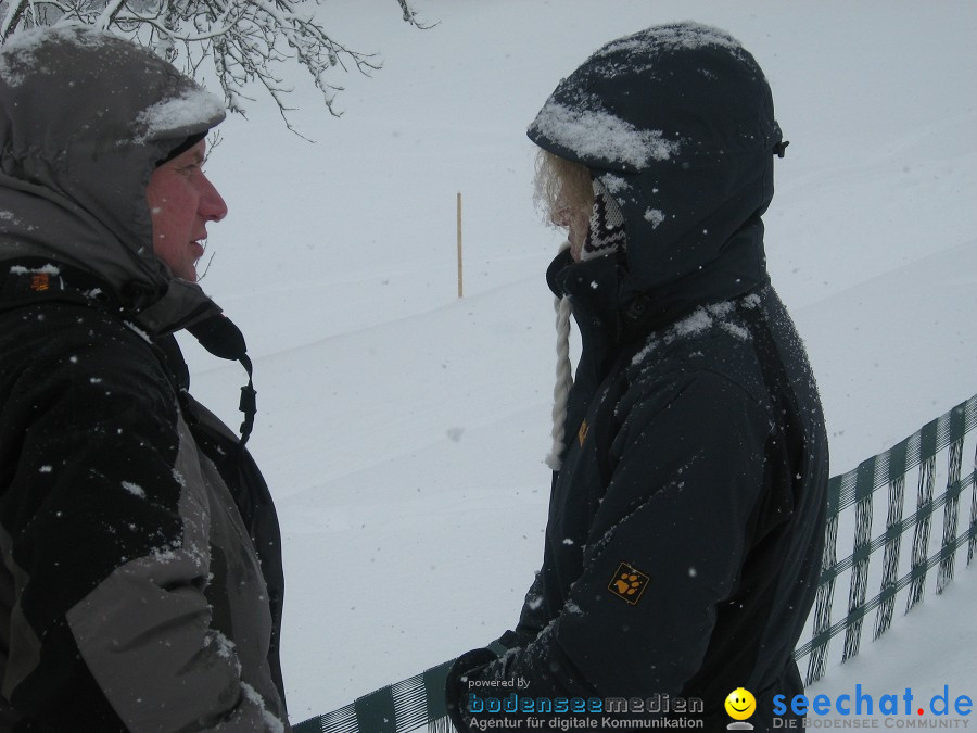 Internationales Schlittenhunderennen: Todtmoos im Schwarzwald, 31.01.2010