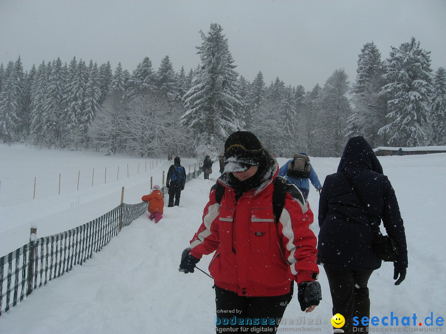 Internationales Schlittenhunderennen: Todtmoos im Schwarzwald, 31.01.2010