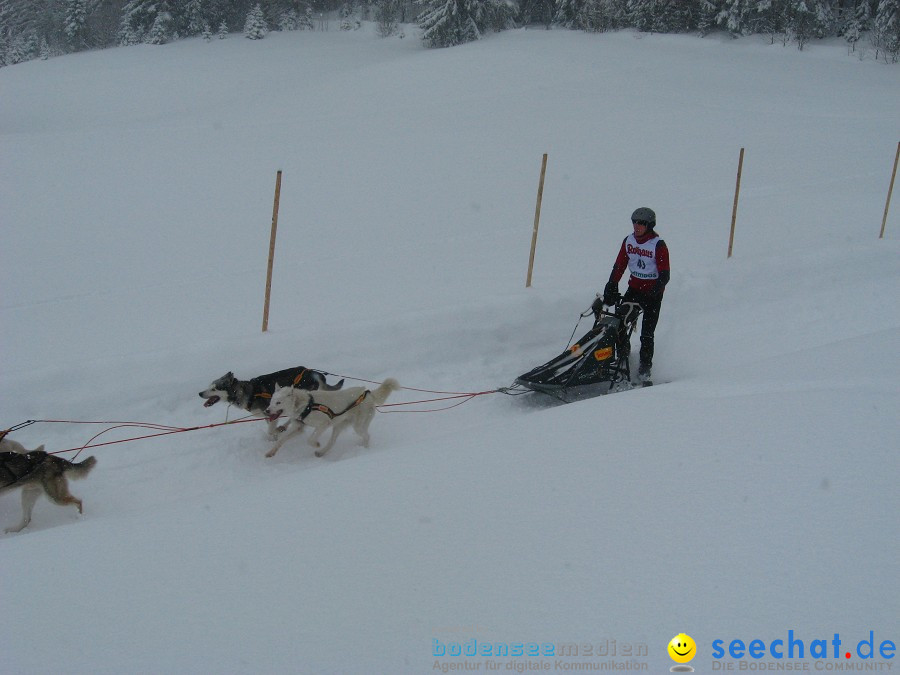 Internationales Schlittenhunderennen: Todtmoos im Schwarzwald, 31.01.2010